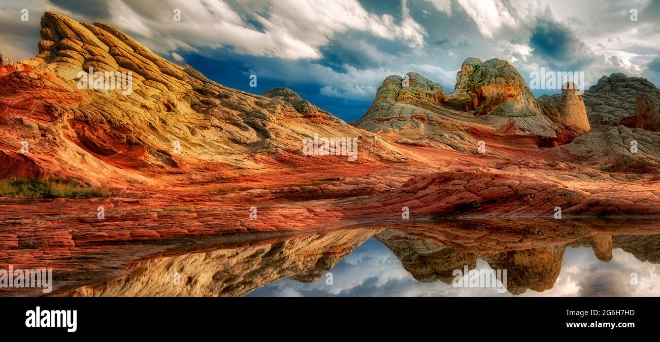 Pocket blanc avec l'eau de pluie piscines. Vermilion Cliffs National Monument, Arizona Banque D'Images