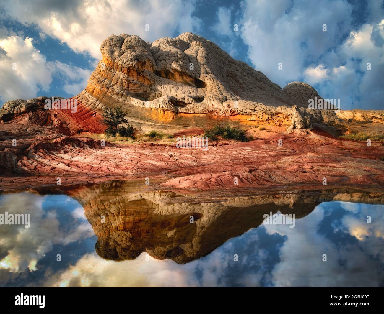 Pocket blanc avec l'eau de pluie piscines. Vermilion Cliffs National Monument, Arizona Banque D'Images