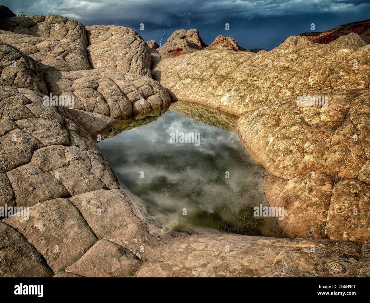 Pocket blanc avec l'eau de pluie piscines. Vermilion Cliffs National Monument, Arizona Banque D'Images