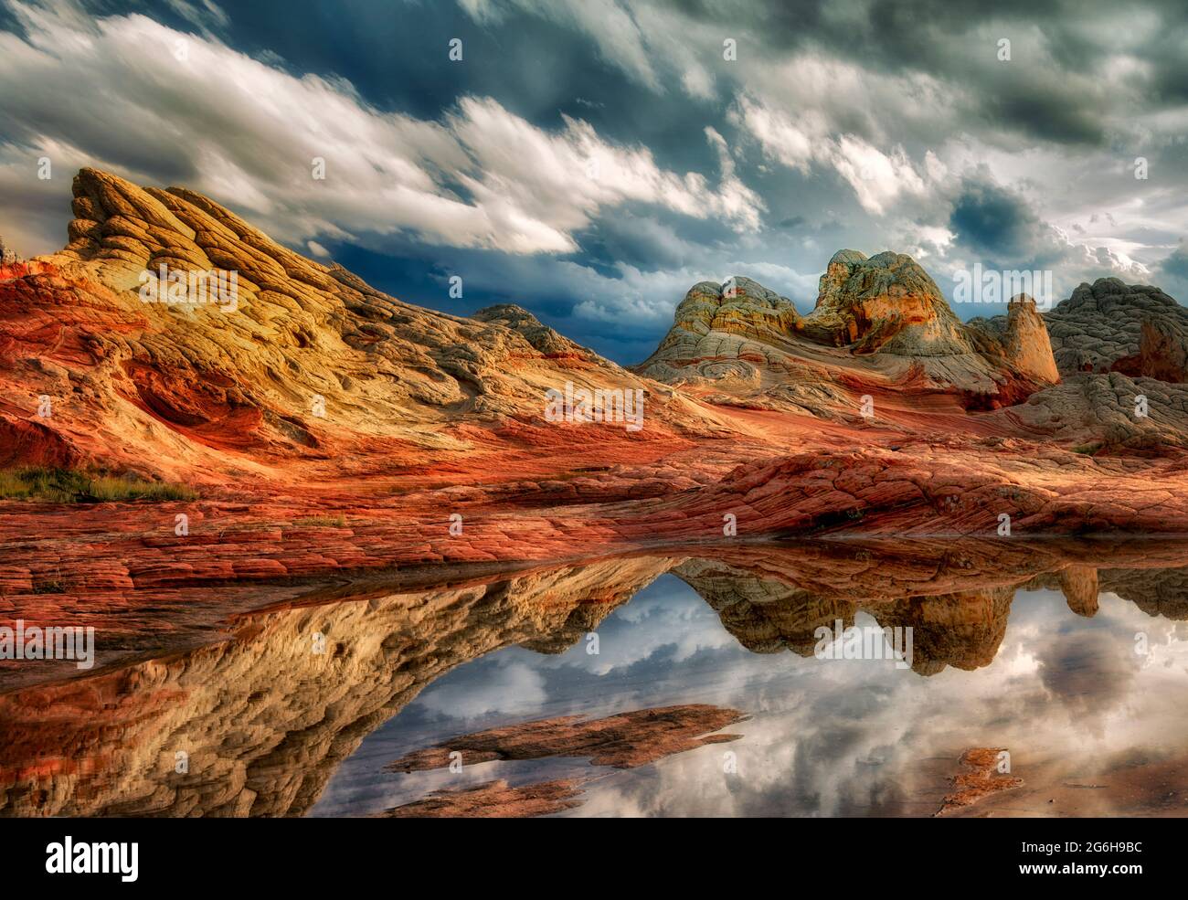 Pocket blanc avec l'eau de pluie piscines. Vermilion Cliffs National Monument, Arizona Banque D'Images