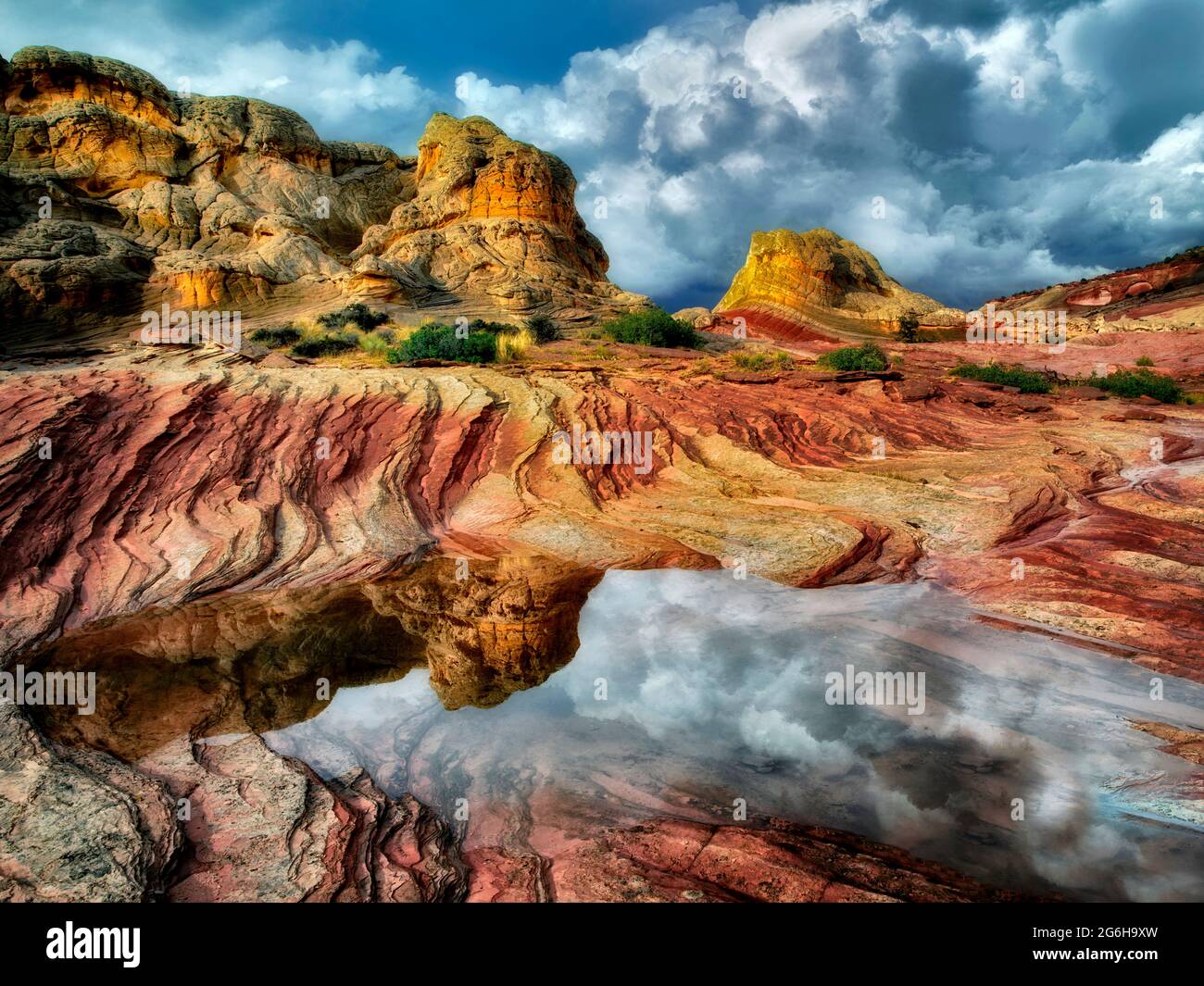 Pocket blanc avec l'eau de pluie piscines. Vermilion Cliffs National Monument, Arizona Banque D'Images