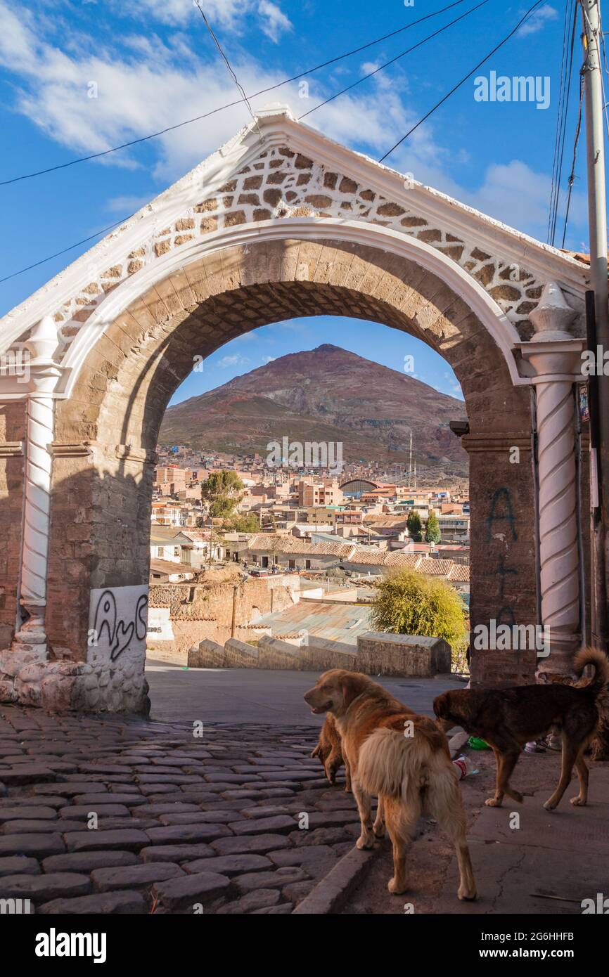 Porte et chiens errants dans une rue à Potosi, Bolivie Banque D'Images