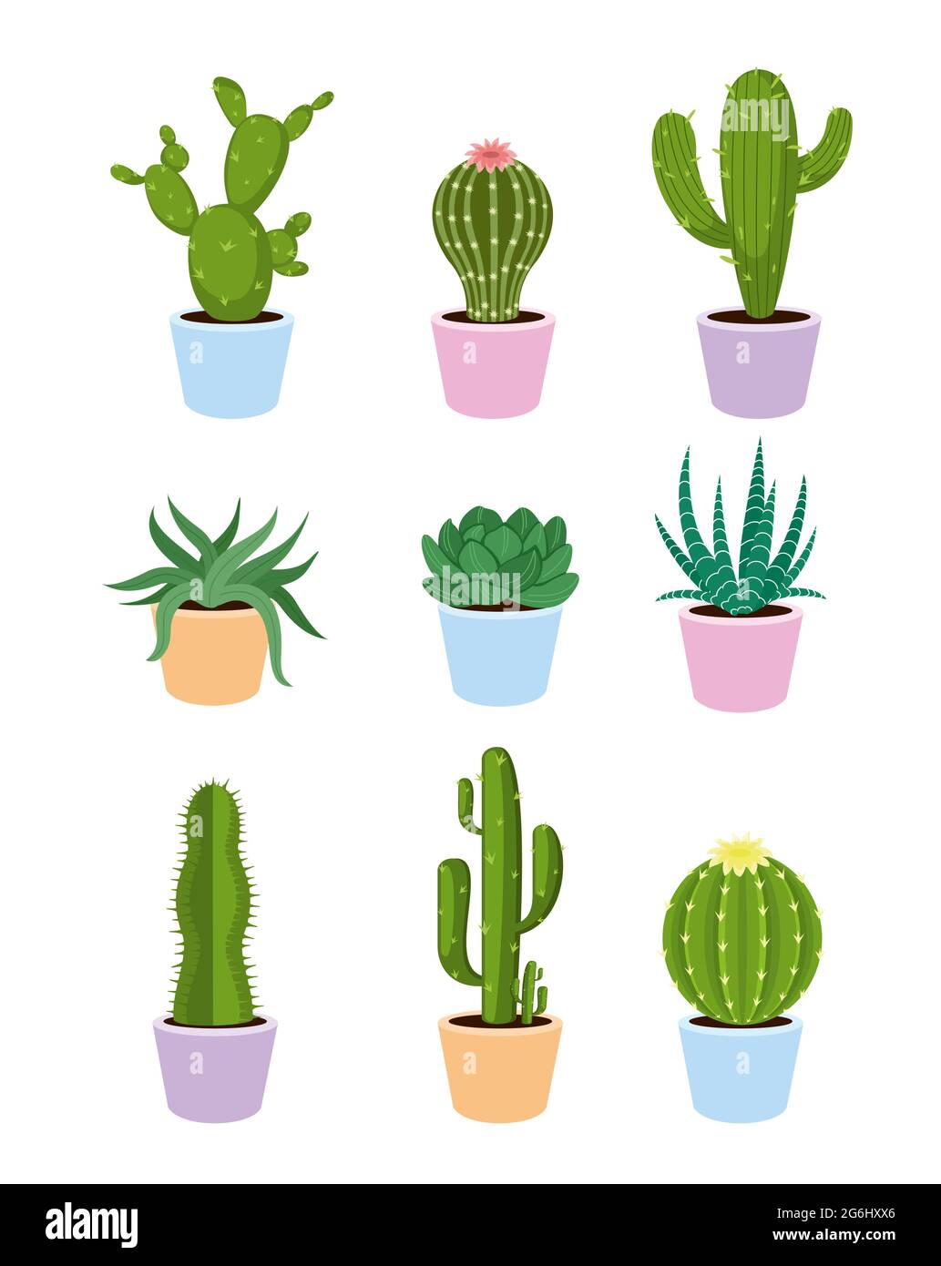 Ensemble d'illustrations vectorielles de succulents et de cactus avec fleurs sur fond blanc et de style plat. Illustration de Vecteur