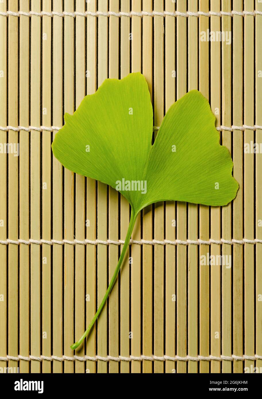 Une feuille de ginkgo sur un tapis de bambou. Ginkgo biloba, également connu sous le nom de gingko ou arbre de maidenhair, arbre officiel de la capitale japonaise Tokyo. Banque D'Images