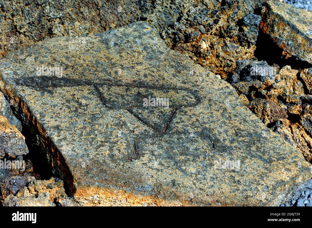 Les anciens ancêtres hawaïens ont laissé leur marque sur la pierre. Ce petroglphys, ou dessin primatif, a été découvert sur le sentier de Malama, sur la grande île de H Banque D'Images