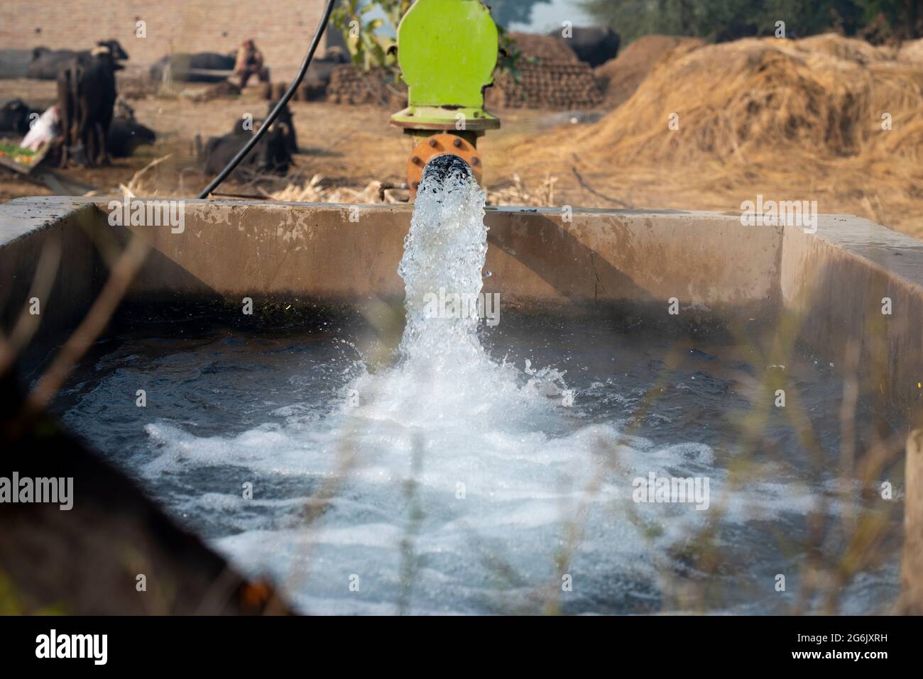 Pompe à turbine, système d'irrigation de campagne dans le district de Pakpatan, Punjab, Pakistan Banque D'Images