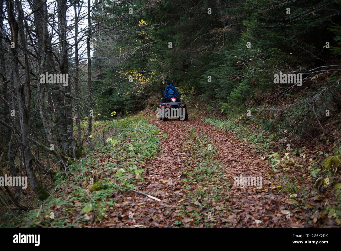 Homme d'urgence en uniforme de protection sur le quad dans la forêt recherchant la personne manquante Banque D'Images