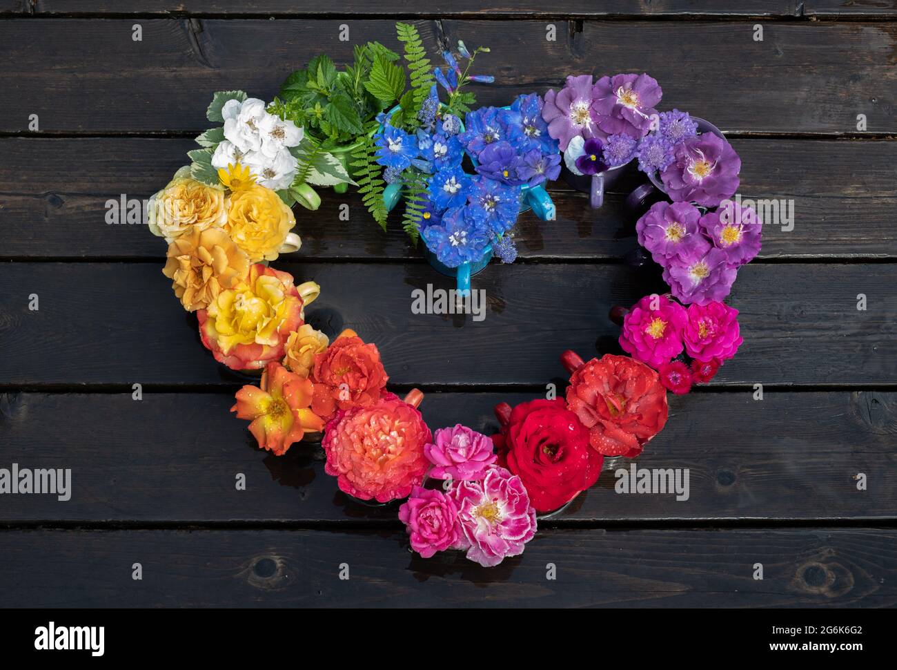 Arrangement de fleurs arc-en-ciel en forme de coeur pour la célébration de la fierté Banque D'Images
