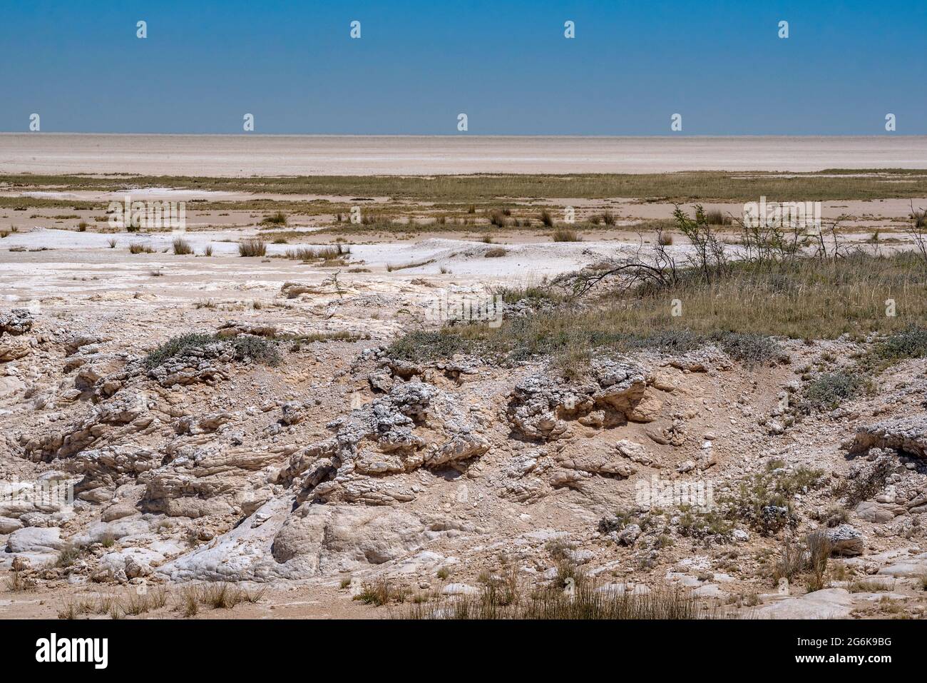 Vue sur le sel sec d'Etosha au parc national d'Etosha, Namibie Banque D'Images