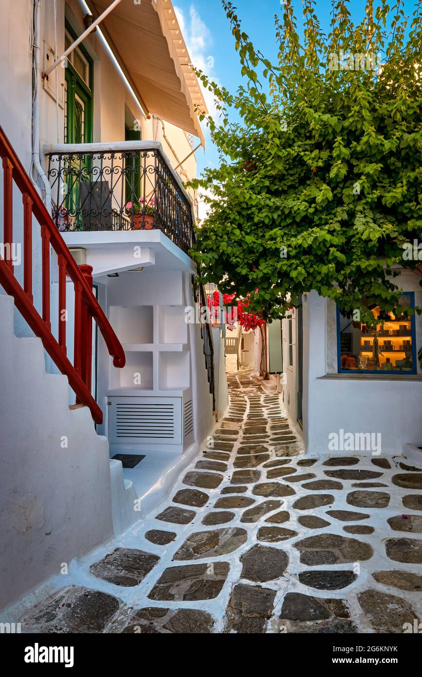 Belles rues pavées traditionnelles et étroites des villes grecques. Maisons blanchies à la chaux, boutiques de souvenirs, soleil d'été le matin. Mykonos, Grèce. Banque D'Images