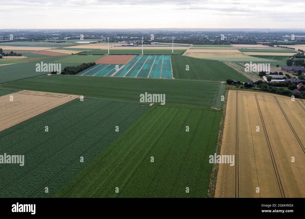 Windräder auf den Feldern um Willich mit einer Drohne fotografiert. Banque D'Images