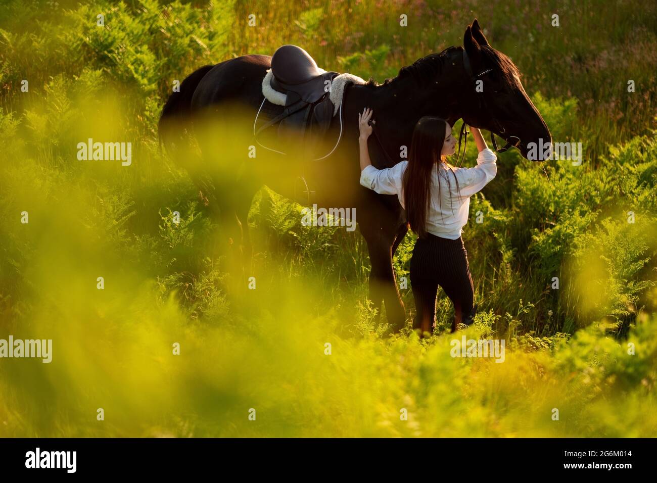 Jeune belle femme prenant soin de son cheval l'embrassant. Banque D'Images