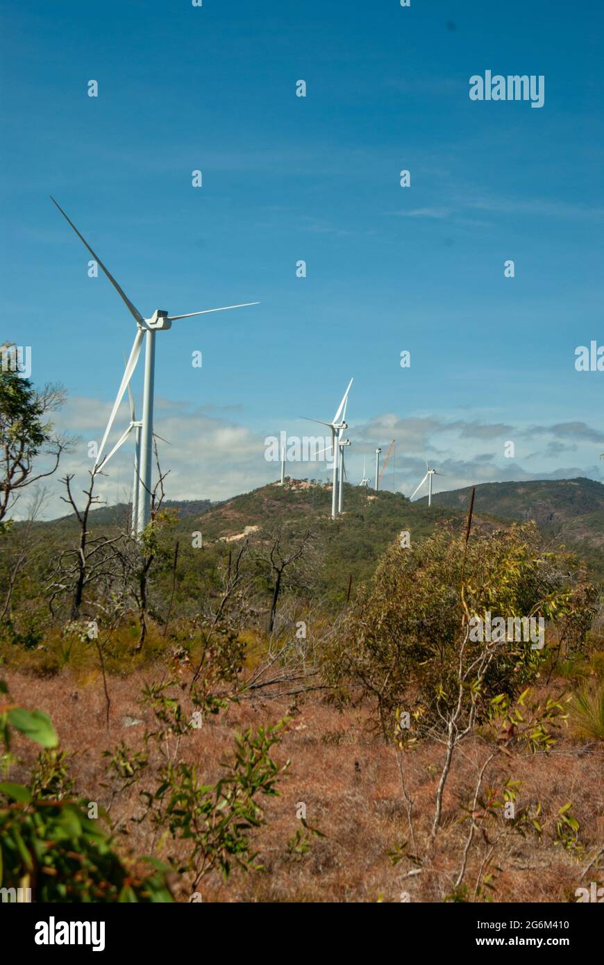 Éoliennes, Mt Emerald Wind Farm, Queensland, Australie Banque D'Images