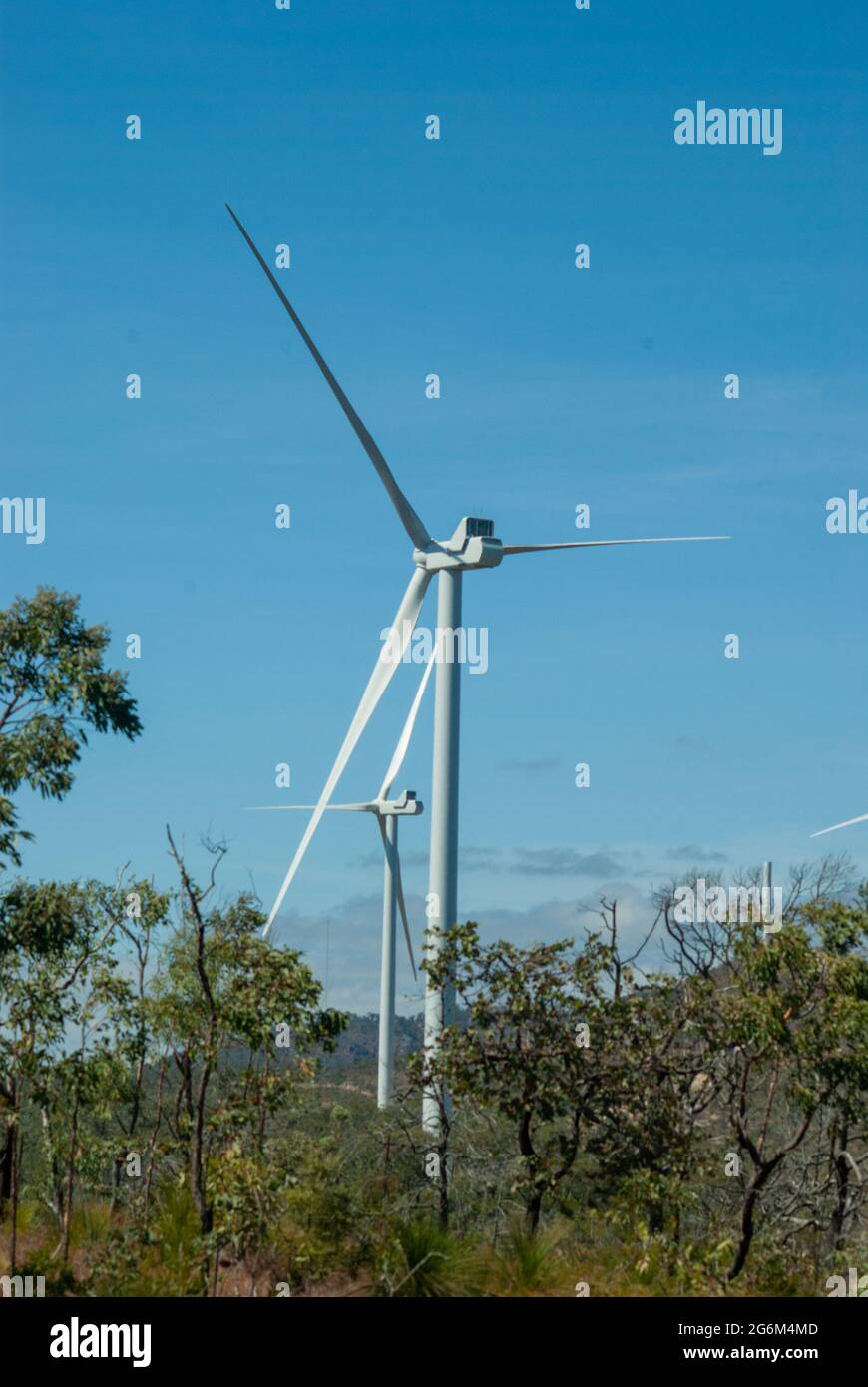 Éoliennes, Mt Emerald Wind Farm, Queensland, Australie Banque D'Images