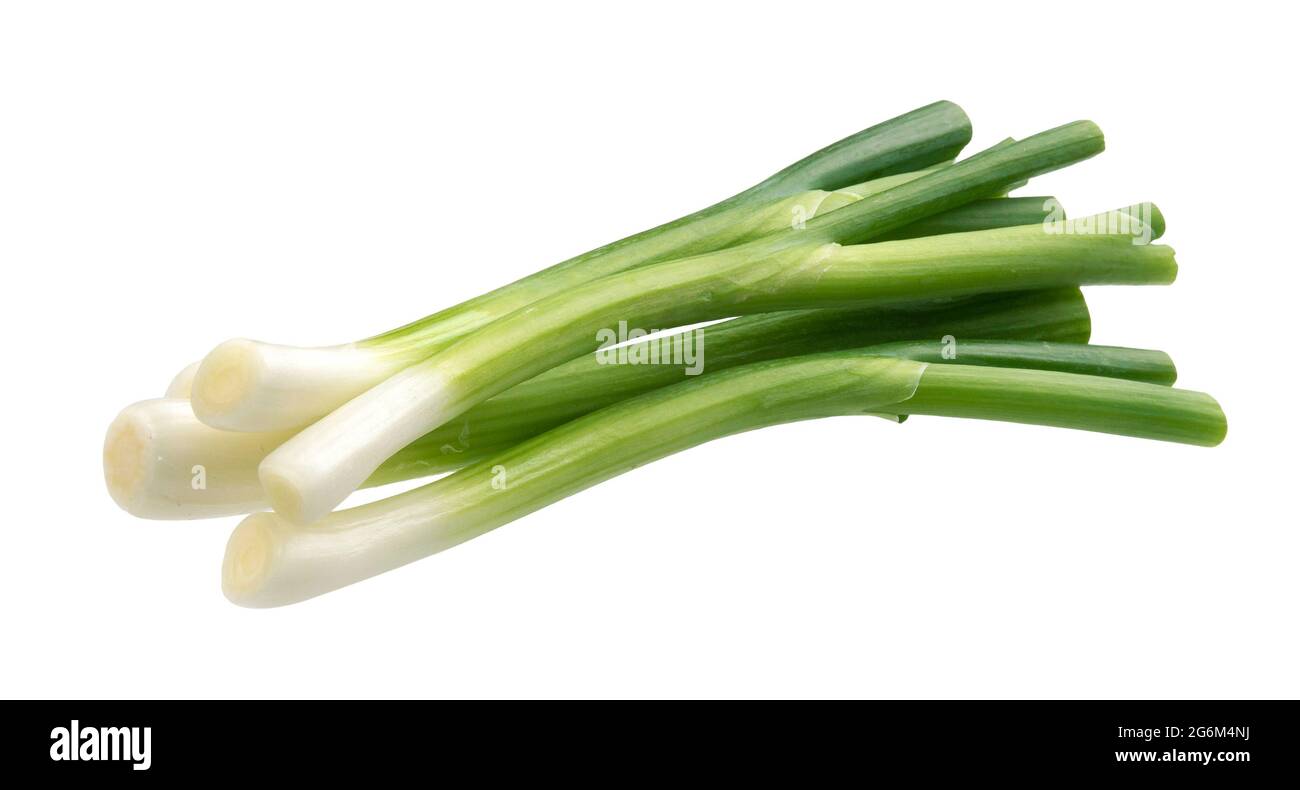 Oignon vert, ciboulette fraîche isolée sur fond blanc Banque D'Images