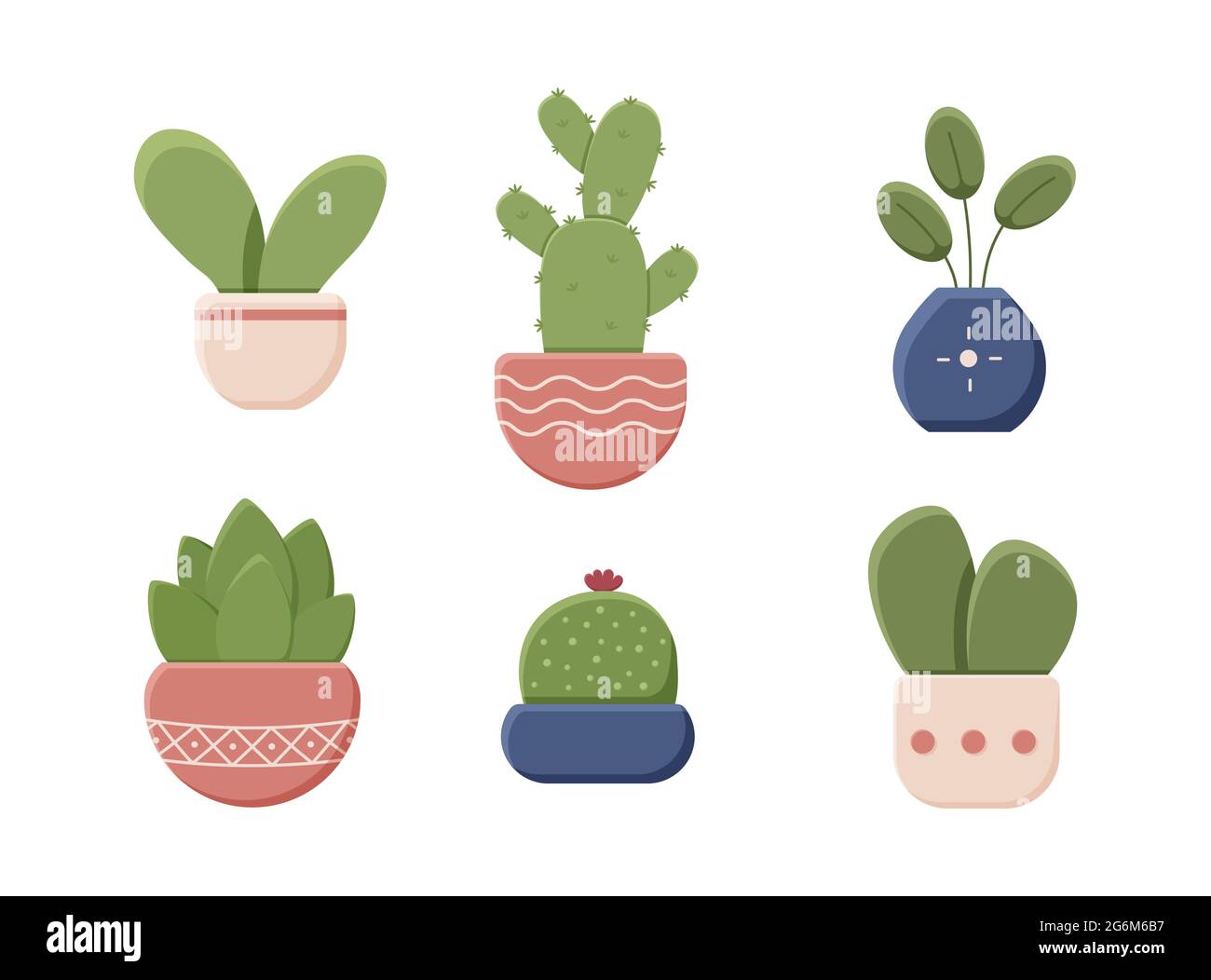 Ensemble de plantes de maison décoratives dans des pots isolés sur fond blanc. Plante intérieure, vecteur, conception d'icône plate. Cactus, fleur, petit arbre. Vecteur illu Illustration de Vecteur
