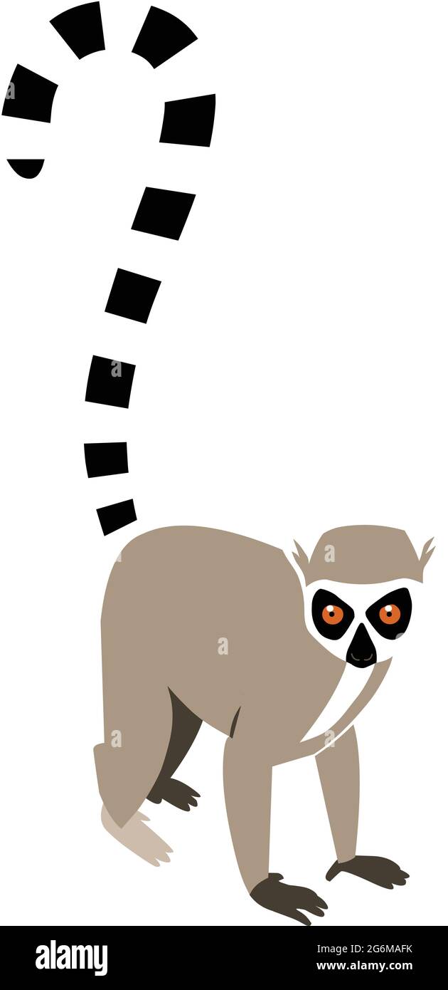 Illustration d'un lemur à queue annulaire Illustration de Vecteur