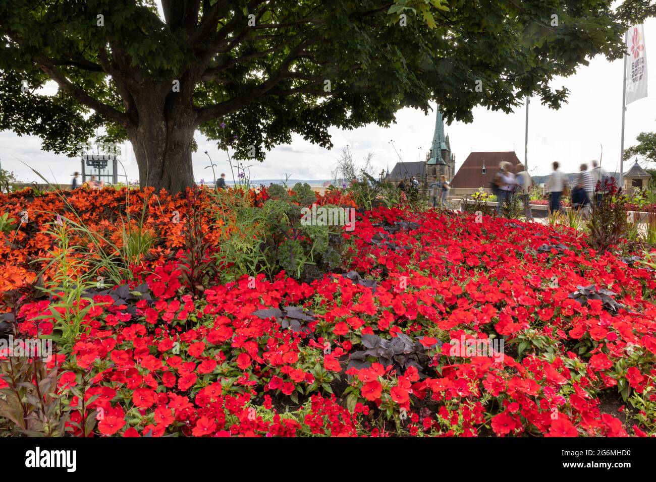 Erfurt, Allemagne. 07e juillet 2021. Les visiteurs marchent le long des parterres de fleurs sur le Petersberg au site du Federal Horticultural Show. La cathédrale est visible en arrière-plan. Credit: Michael Reichel/dpa-Zentralbild/dpa/Alay Live News Banque D'Images