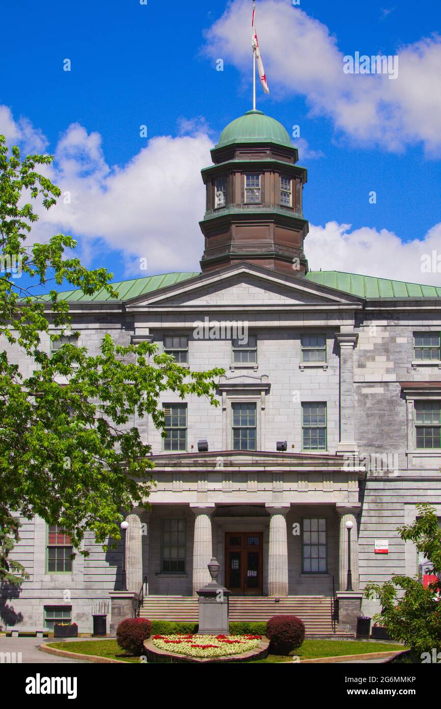 Canada, Québec, Montréal, Université McGill, Édifice des arts Banque D'Images