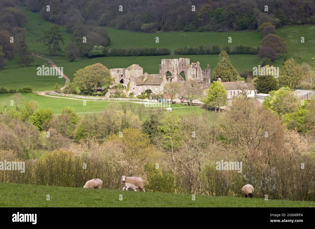 En regardant vers le bas sur un soleil frappé prieuré de Llanthony dans la vallée de Llanthony, les montagnes noires, Brecon Beacons Banque D'Images