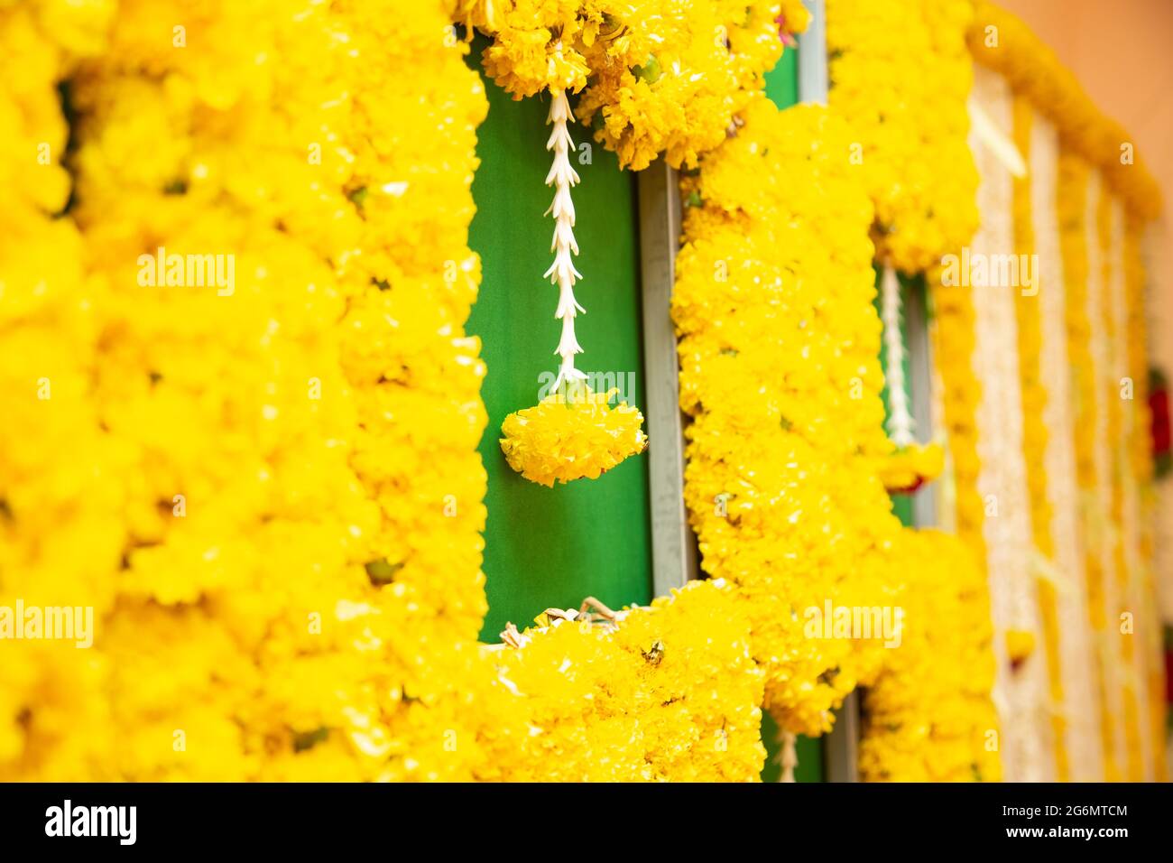 Belle et naturelle image de fleur jaune Banque D'Images