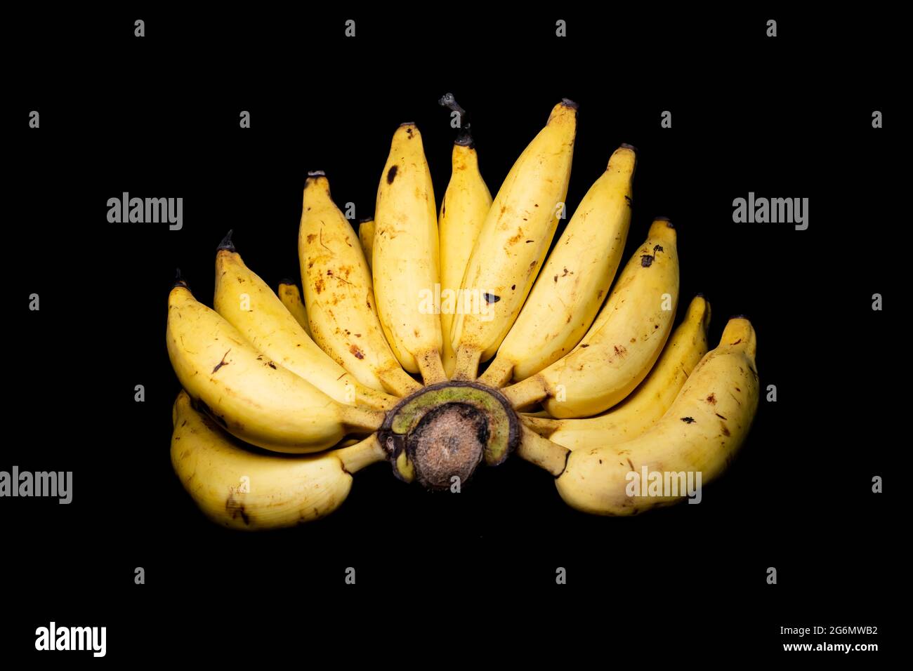 Lebmuernang banane sur fond noir Banque D'Images