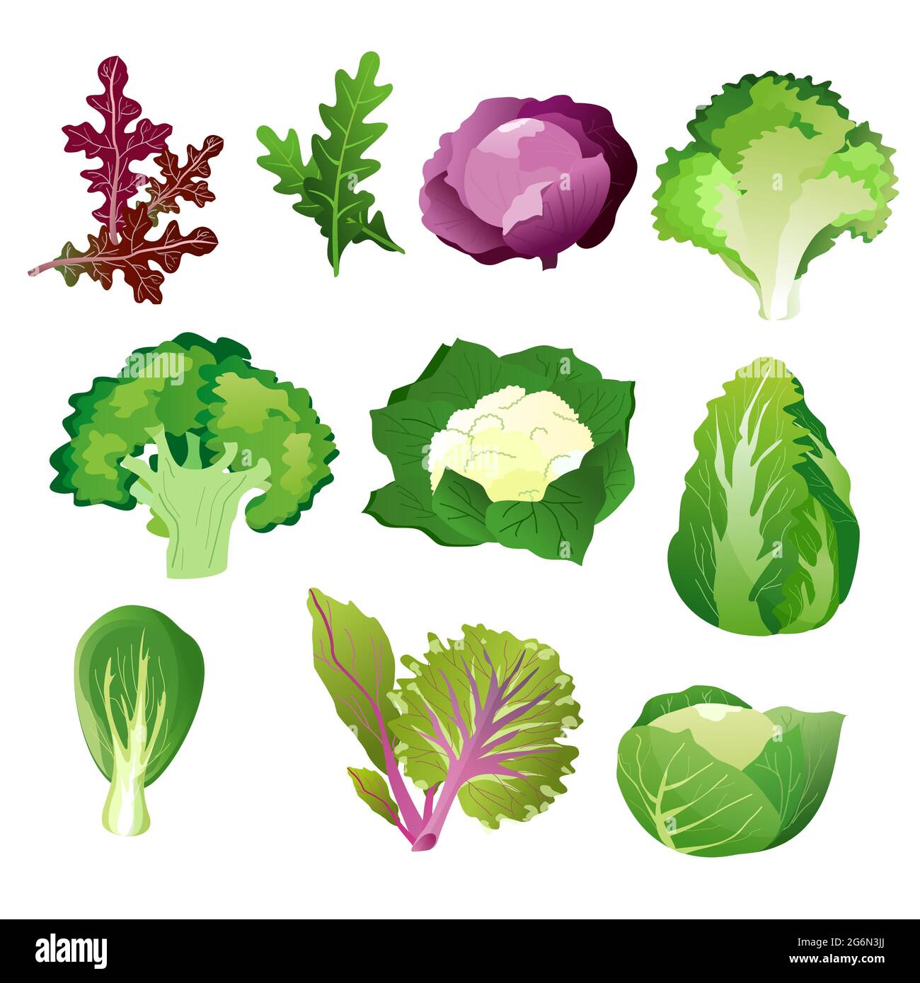 Feuilles de salade vertes. Ensemble de feuilles de nourriture saine végétarienne Vector isolé sur fond blanc. Illustration de Vecteur