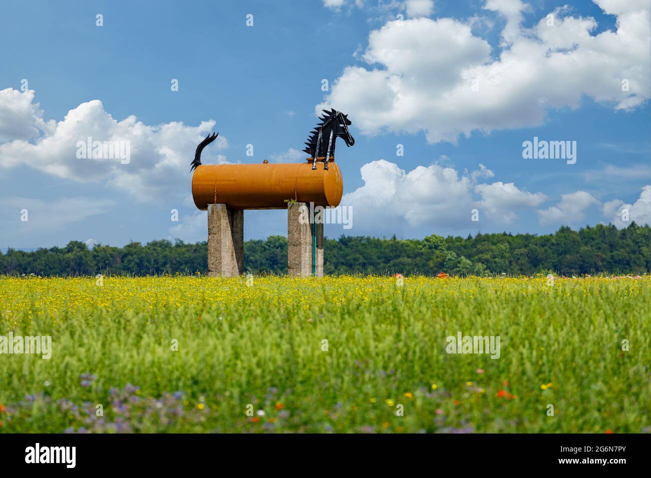 Le cheval de fer de Grandenborn à Hesse Banque D'Images