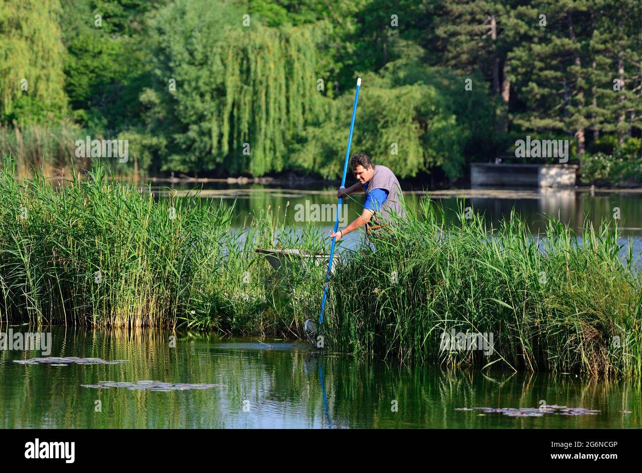 Vienne, Autriche. Le jardinier nettoie l'eau du parc aquatique de floridsdorf Banque D'Images