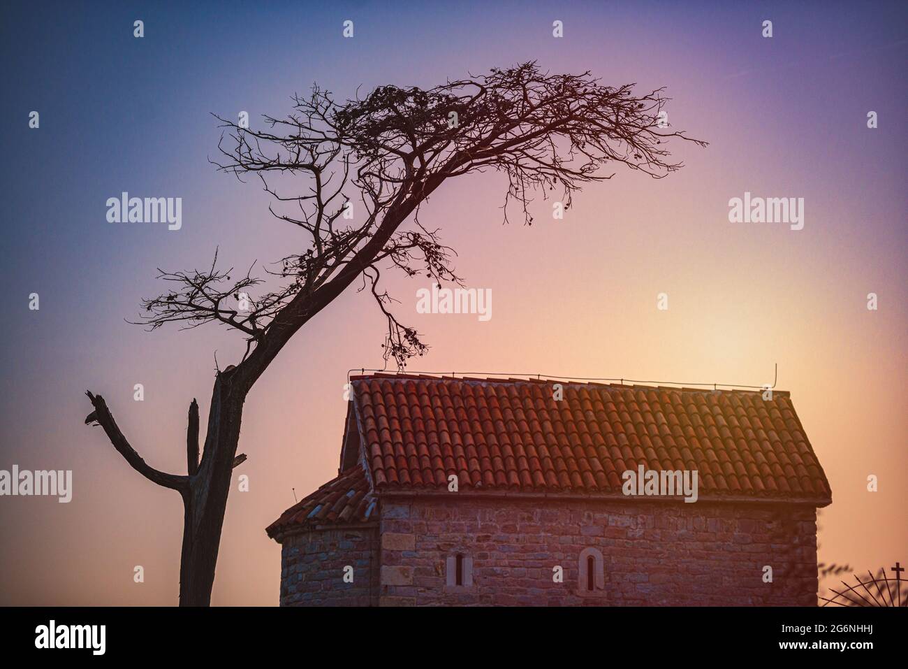 Église et arbre au coucher du soleil au Monténégro, dans les Balkans, en Europe. Banque D'Images