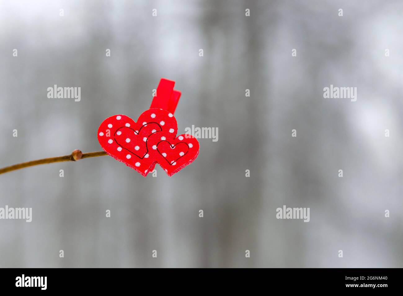 Saint Valentin. 2 coeurs rouges accrochent sur une branche d'arbre en hiver sur le fond d'une forêt d'hiver. Bannière de félicitations ou carte postale Happy valen Banque D'Images