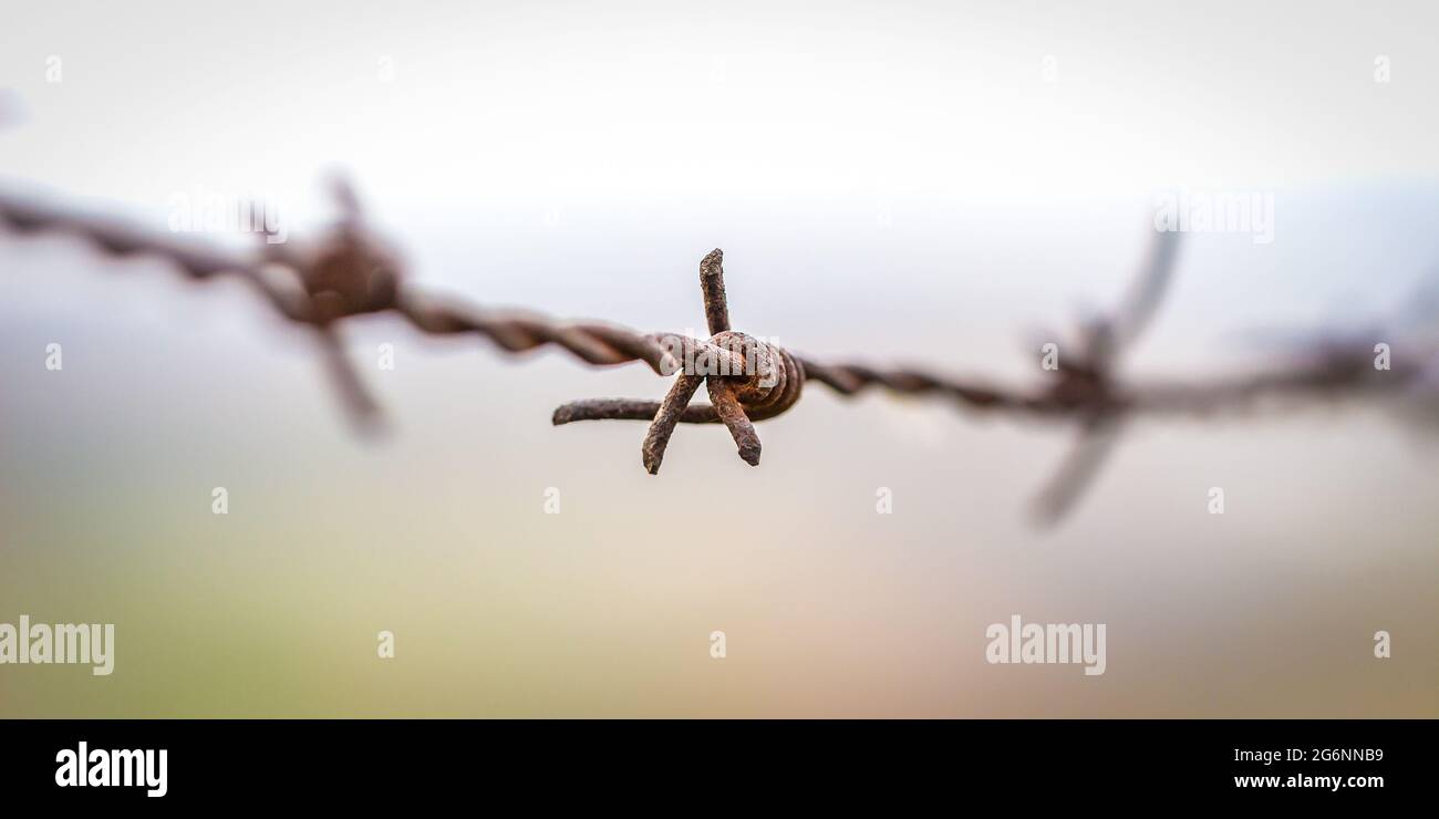 Photo de mise au point peu profonde d'un fil barbelé Banque D'Images