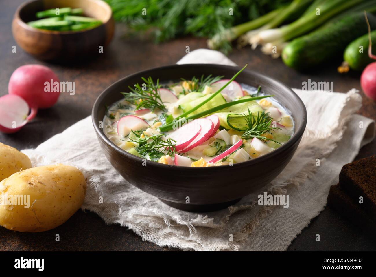 Soupe froide d'okroshka avec kéfir. Okroshka russe de fraîcheur fait de légumes hachés d'été, concombre, radis, pomme de terre, oeufs durs aux herbes assaisonnées Banque D'Images