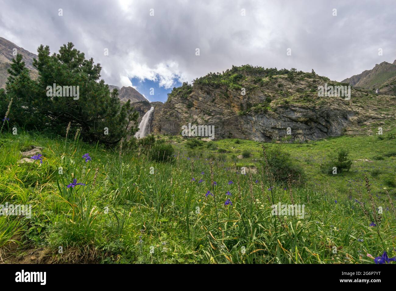 Distance Cascada del Cinca dans les Pyrénées montagnes avec belle prairie de montagne avec des fleurs en premier plan le jour nuageux d'été, Espagne Banque D'Images