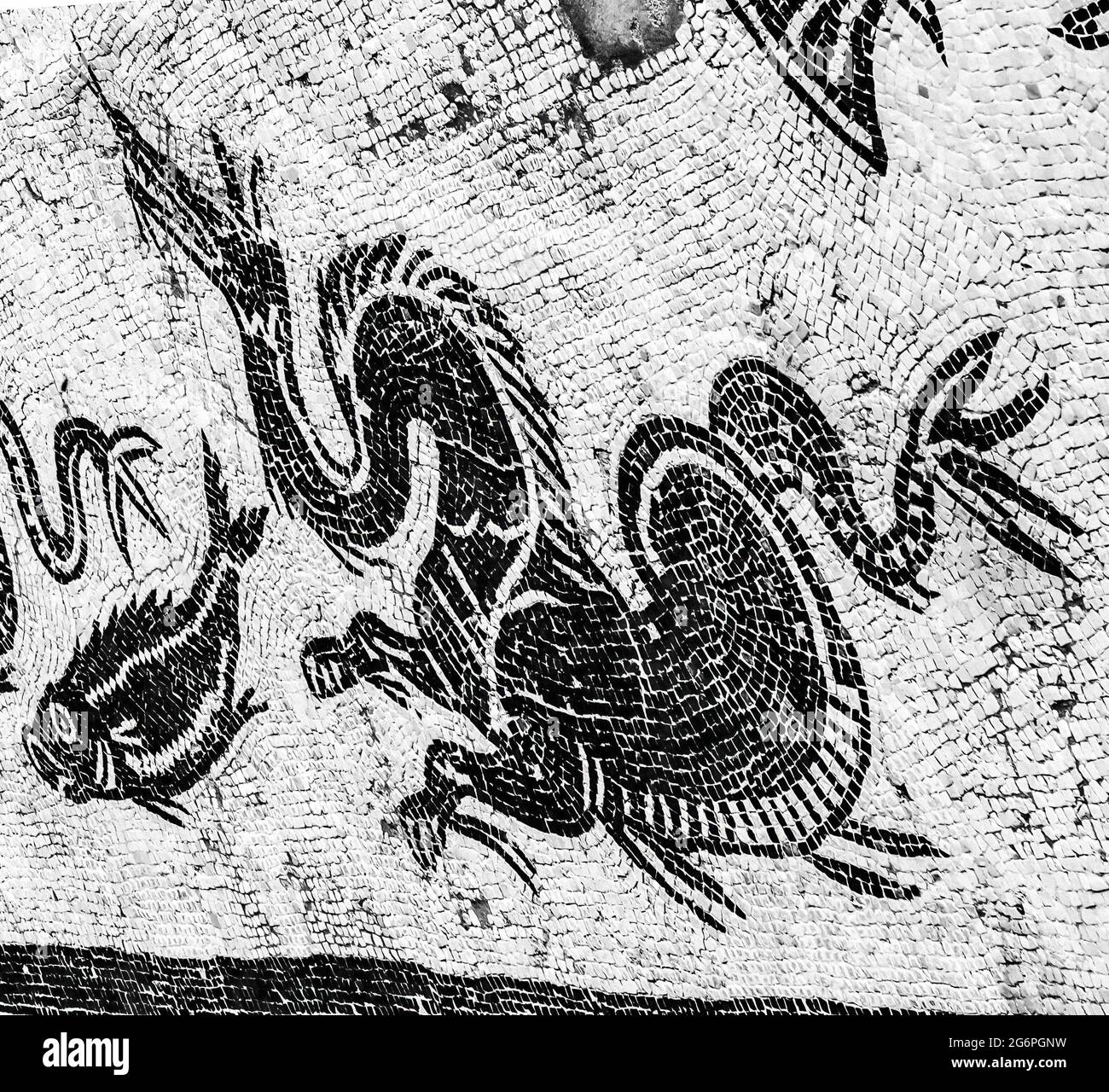 Ancien Dragon Fish Mosaic Ruins Italica ville romaine en dehors de Séville Andalousie Espagne. Construit en 206BC première colonie romaine en Espagne et en dehors de l'ITA Banque D'Images