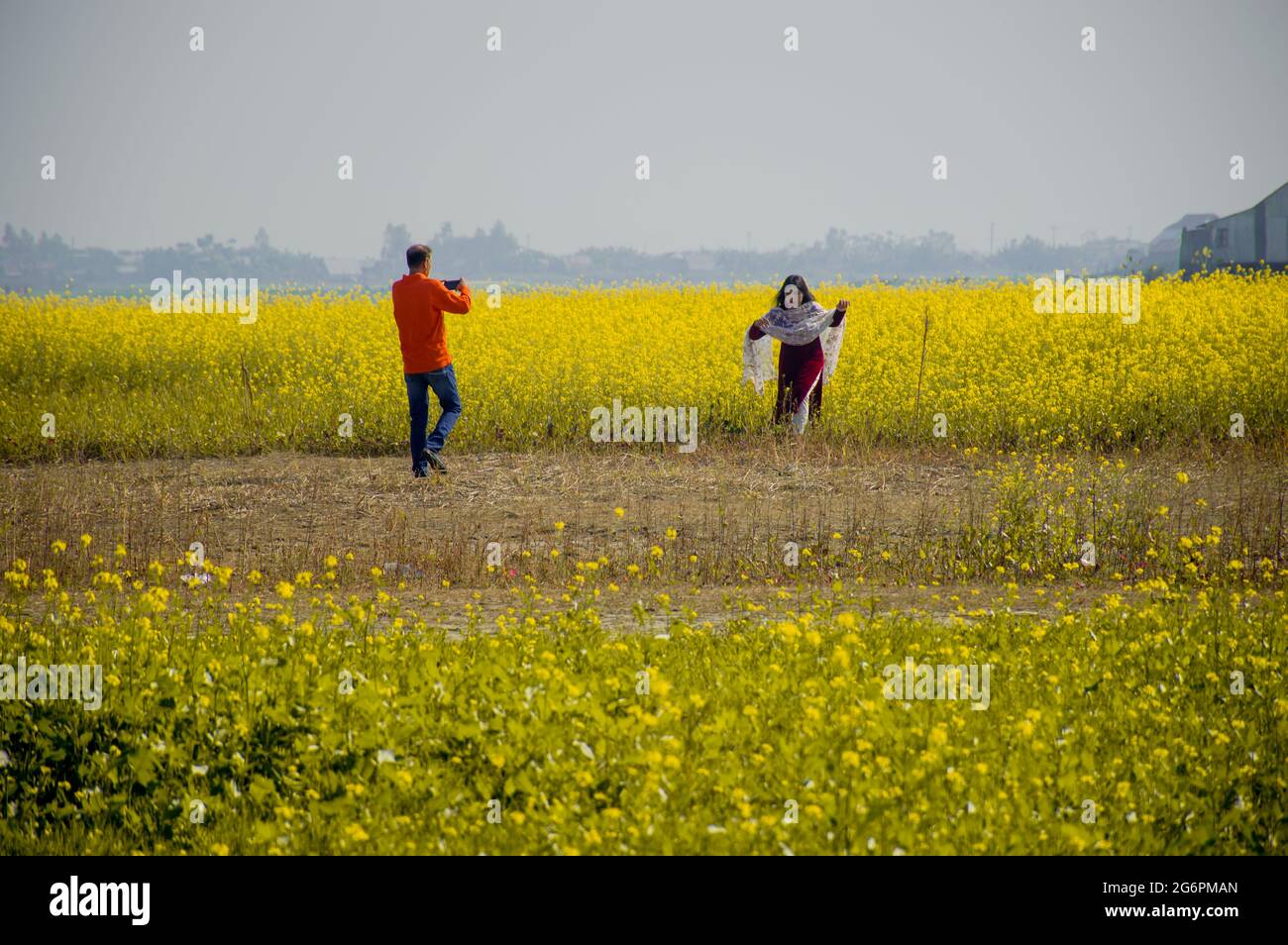 Une fille court dans un champ de moutarde et son père clique sur sa photo. Banque D'Images