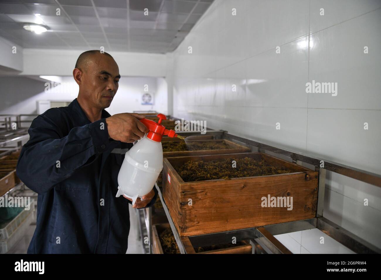 Xuancheng, province chinoise d'Anhui. 7 juillet 2021. Un membre du personnel pulvérise de l'eau dans le milieu d'éclosion pour les alligators chinois de la réserve naturelle nationale d'alligators chinois Anhui à Xuancheng City, province d'Anhui, en Chine orientale, le 7 juillet 2021. Les alligators chinois de la réserve naturelle nationale des alligators chinois Anhui saluent leur saison de reproduction ces derniers jours. Les oeufs sont recueillis par le personnel pour être envoyés au centre de reproduction artificielle pour être éclos artificiellement. Credit: Han Xu/Xinhua/Alay Live News Banque D'Images