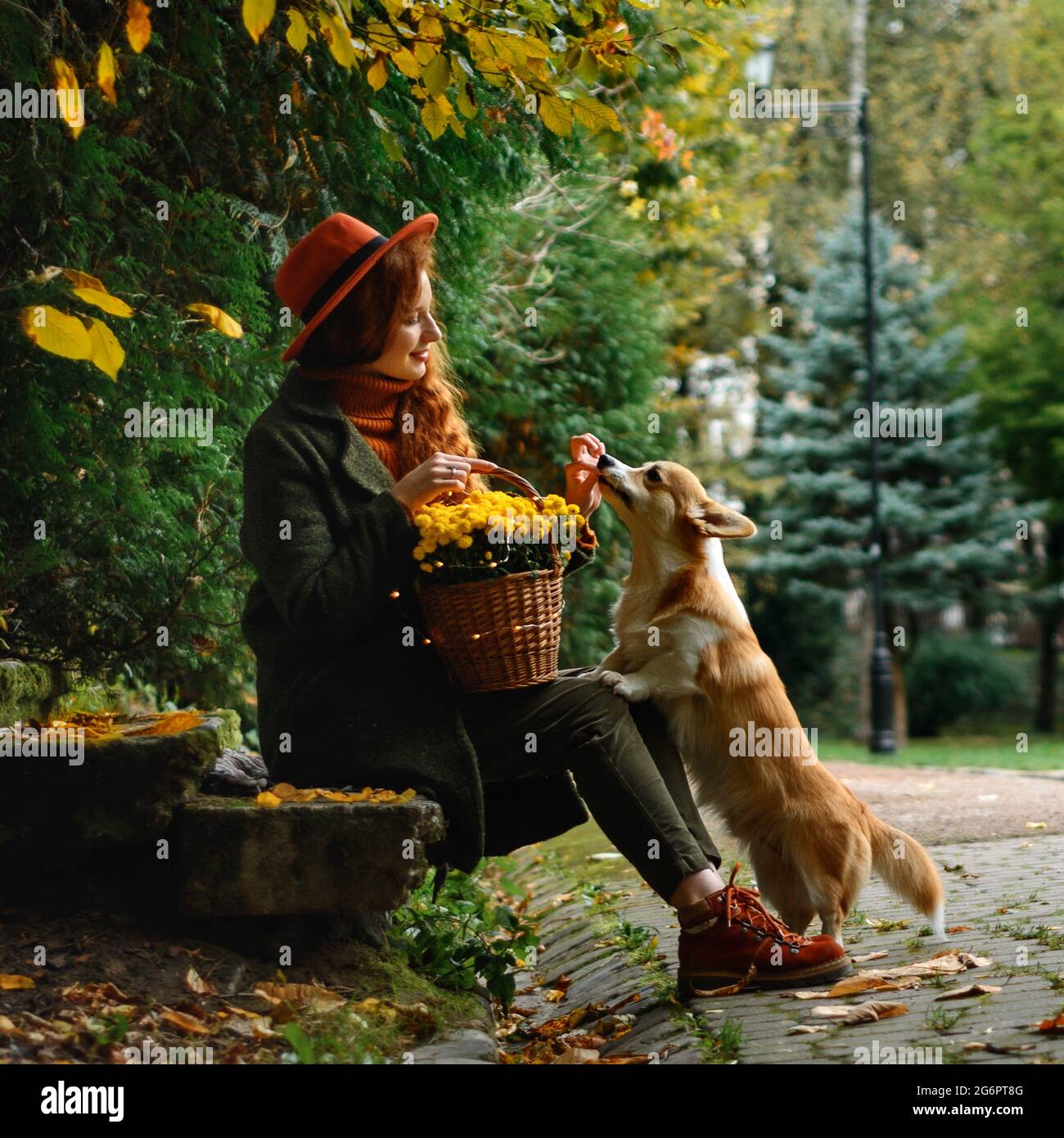 Lviv, Ukraine, 21 octobre 2020 : séance photo d'automne au parc Stryj à Lviv, une fille avec un panier de chrysanthèmes jaunes et un chien corgi. Nouveau Banque D'Images