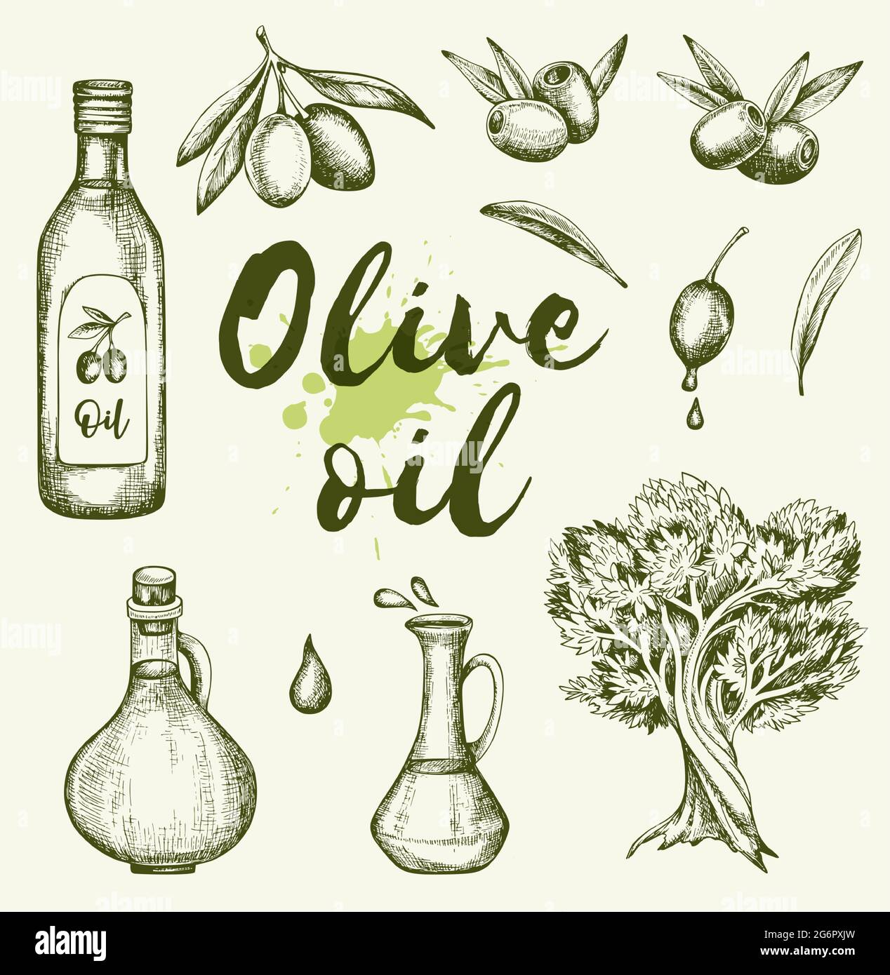 Olives et huile d'olive dessinées à la main vintage. Illustration vectorielle Illustration de Vecteur