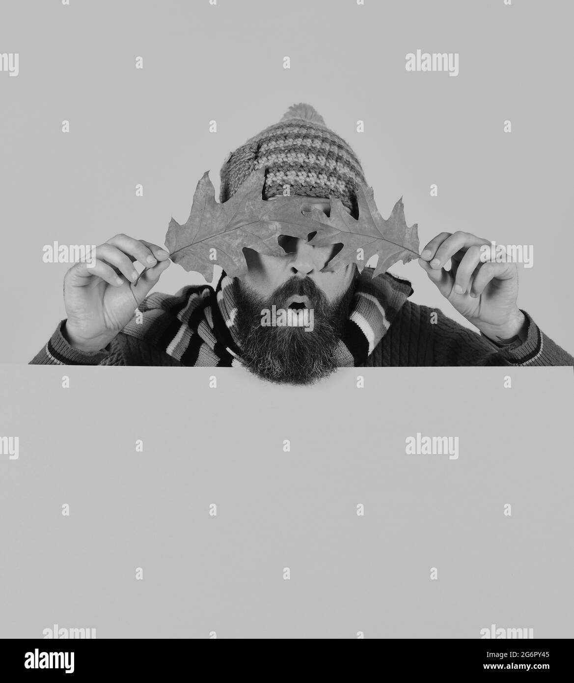 Homme avec barbe couvre les yeux avec des feuilles de chêne sec Banque D'Images