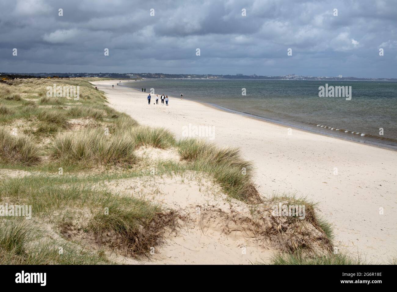 Plage de Studland et dunes de sable, Swanage, Dorset, Angleterre, Royaume-Uni, Europe Banque D'Images