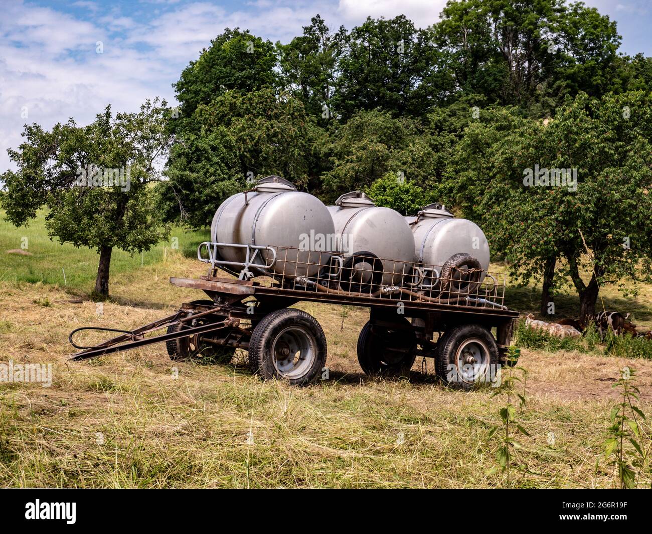 Remorques avec réservoirs d'eau dans l'agriculture Banque D'Images