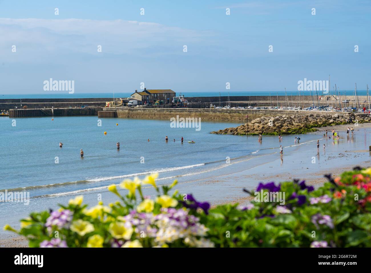 Lyme Regis, Dorset, Royaume-Uni. 8 juillet 2021. Météo au Royaume-Uni: Visiteurs, locaux et staycationers trempés le soleil chaud et ciel bleu clair à la station balnéaire pittoresque de Lyme Regis que les gens ont fait le meilleur du retour du temps ensoleillé. Credit: Celia McMahon/Alamy Live News Banque D'Images