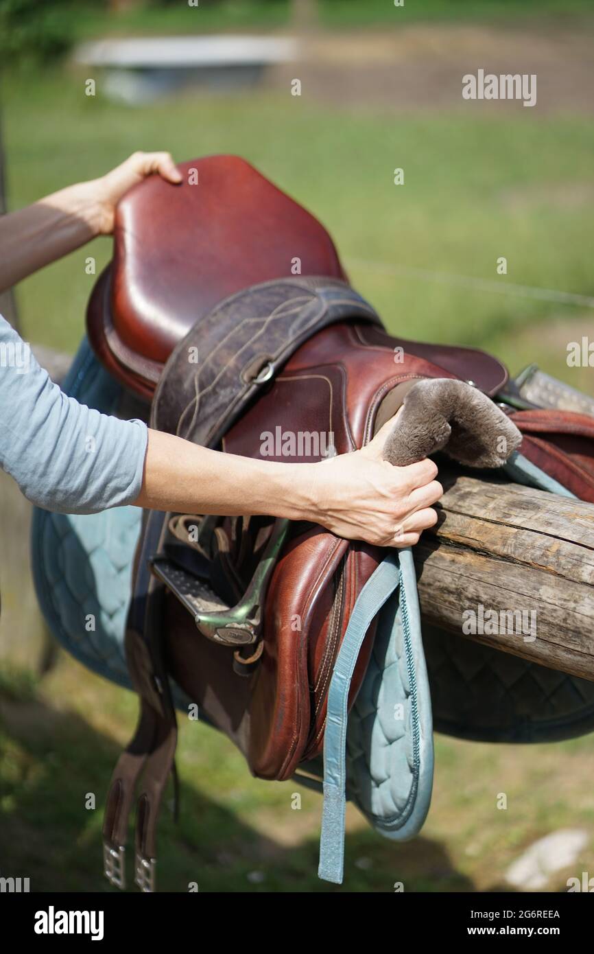 Mains prenant cheval selle pour l'équitation Banque D'Images