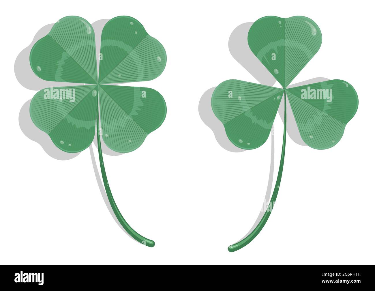 Champ trefles 4 feuilles Banque d'images vectorielles - Alamy