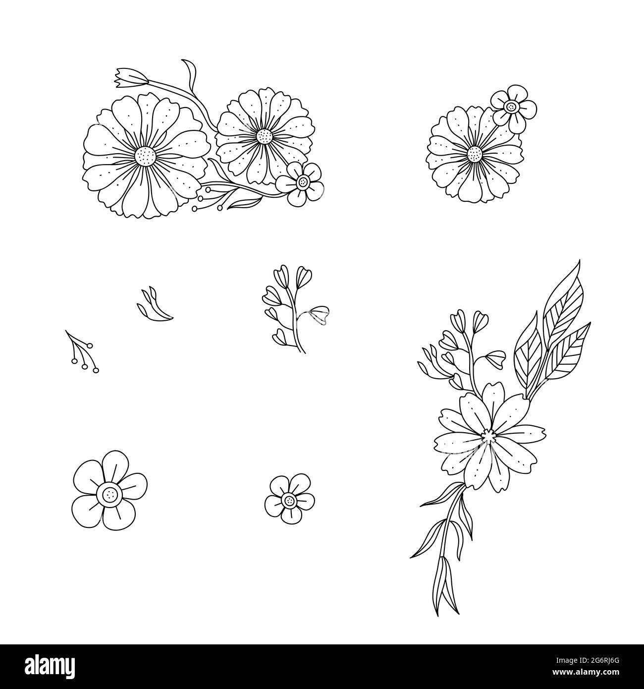Fleur et feuille monochrome Doodle avec contour noir et blanc. Design des éléments de tendance, illustration vectorielle dessinée à la main. Illustration de Vecteur