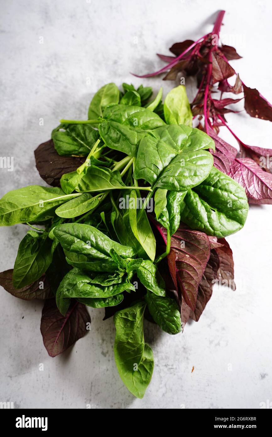 Cheera rouge maison et épinards verts du jardin - jardinage d'été aux Etats-Unis, foyer sélectif Banque D'Images