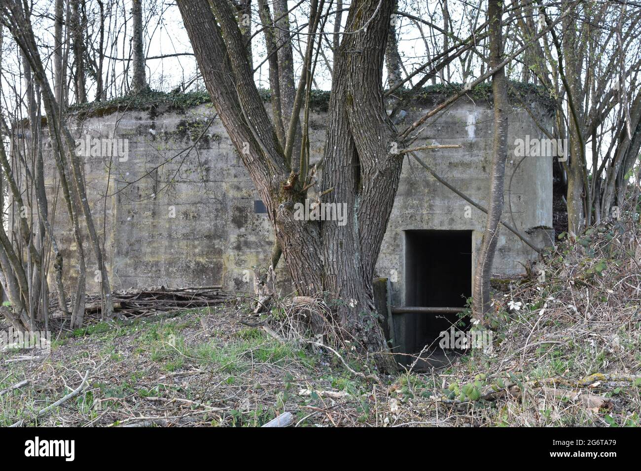 Entrée à l'ancien bunker en béton ou à l'abri des retombées parmi les arbres qui ont été faits pour préparer la Suisse à la guerre ou pour protéger le peuple suisse. Banque D'Images