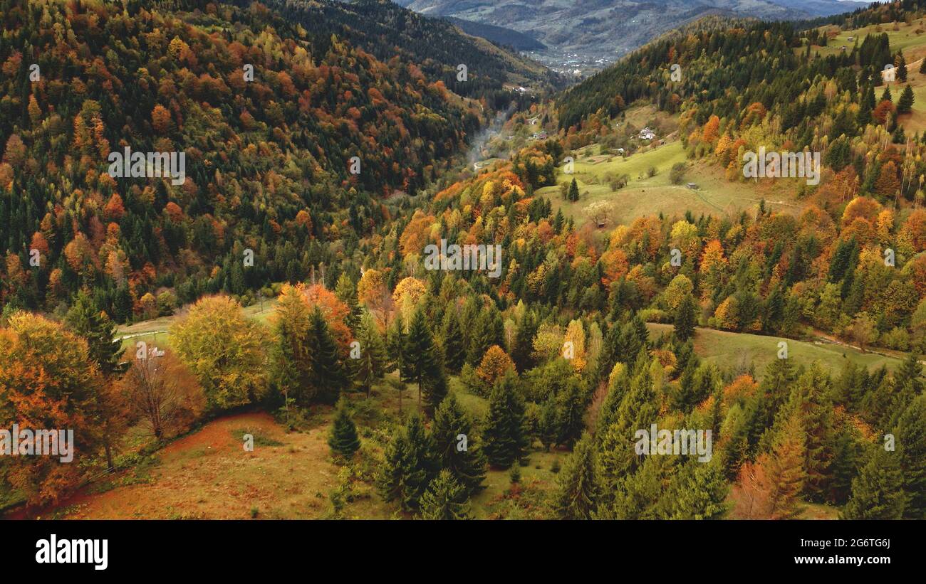 Chaînes de montagnes avec pin, forêt verdoyante aérienne. Automne personne nature paysage. Support brumisateur aux couleurs vert et jaune. Feuilles rurales, sapins. Vacances à Carpates, Ukraine, Europe Banque D'Images