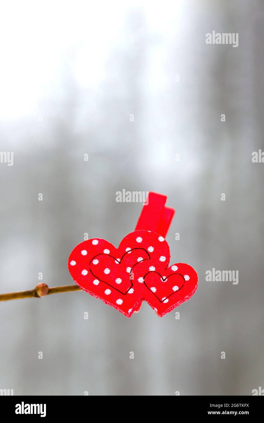 Saint Valentin. 2 coeurs rouges accrochent sur une branche d'arbre en hiver sur le fond d'une forêt d'hiver. Bannière de félicitations ou carte postale Happy valen Banque D'Images